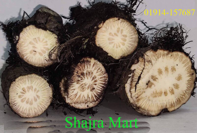 চুইঝাল ২৫০ গ্রাম (গ্রেড-এ)